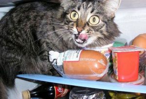 � �������������� ������ ����, ������������ ����� � ������������